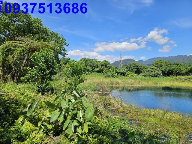 員山農地-12