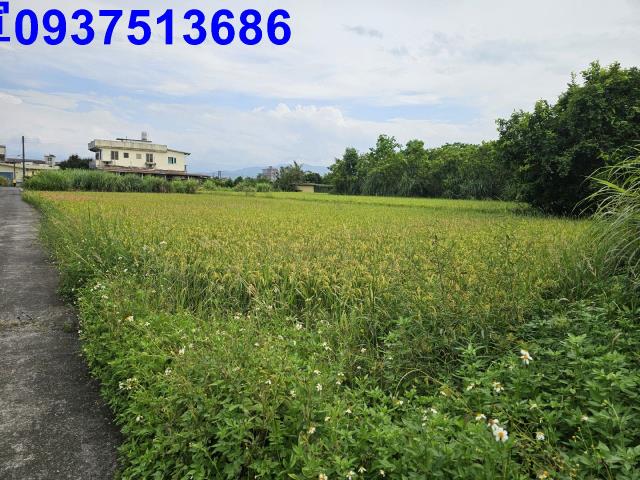 宜蘭農地-1