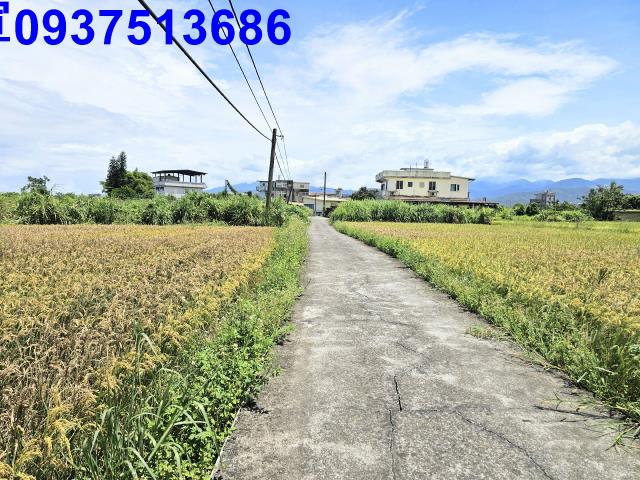 宜蘭農地-6