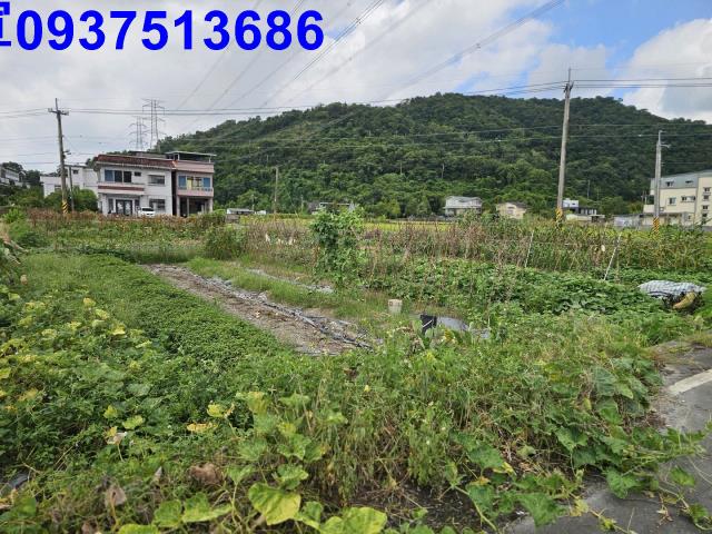 宜蘭農地-9