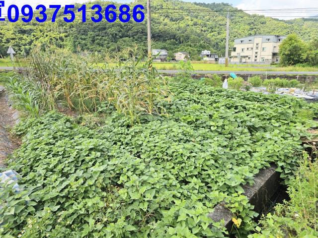 宜蘭農地-0