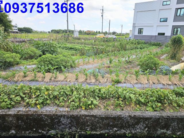 宜蘭農地-5