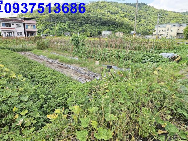 宜蘭農地-6