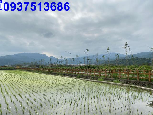 宜蘭農地-2