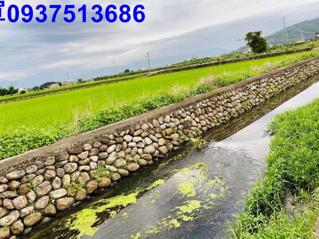 宜蘭農地-5