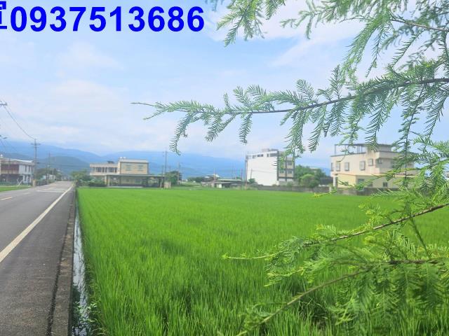 宜蘭農地-9