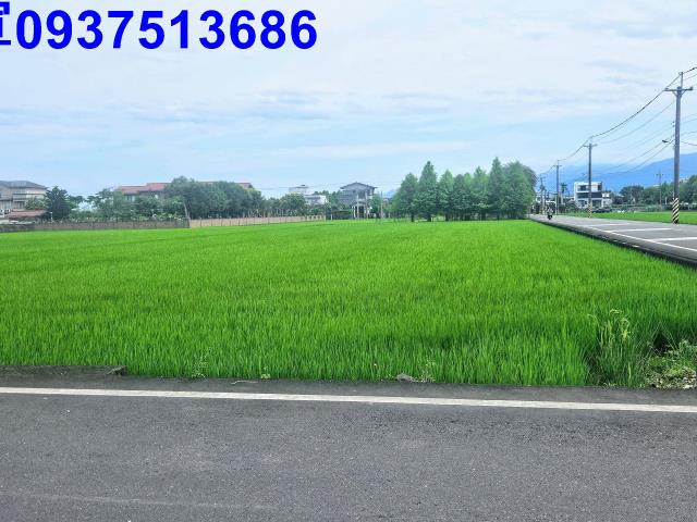 宜蘭農地-3