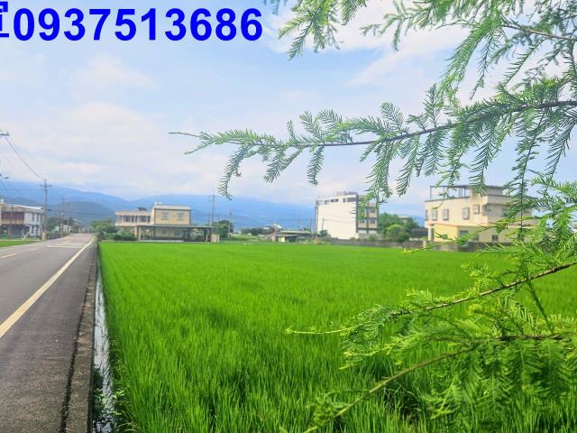 宜蘭農地-4