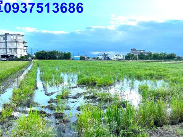 宜蘭農地-5