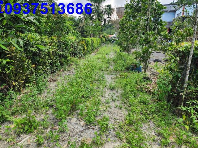 宜蘭員山農地-2