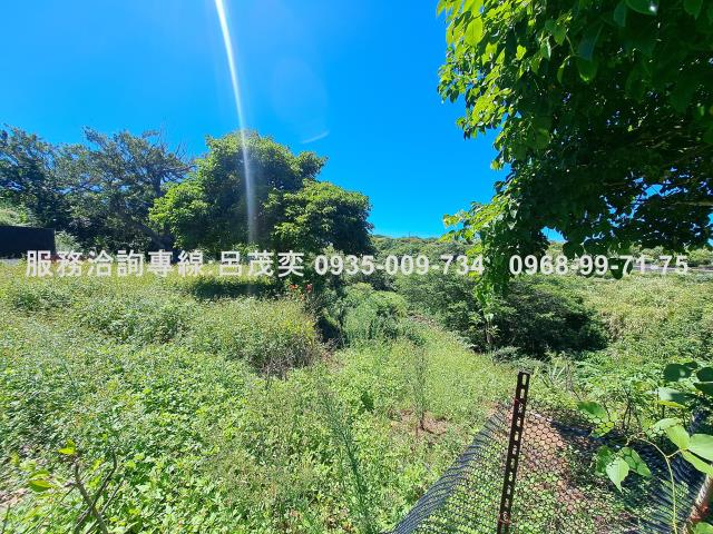 新北石門農地_休閒地-5