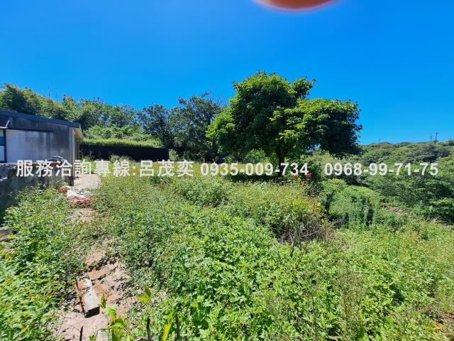 新北石門農地_休閒地-6