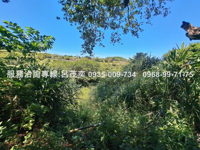 新北石門農地_休閒地-7
