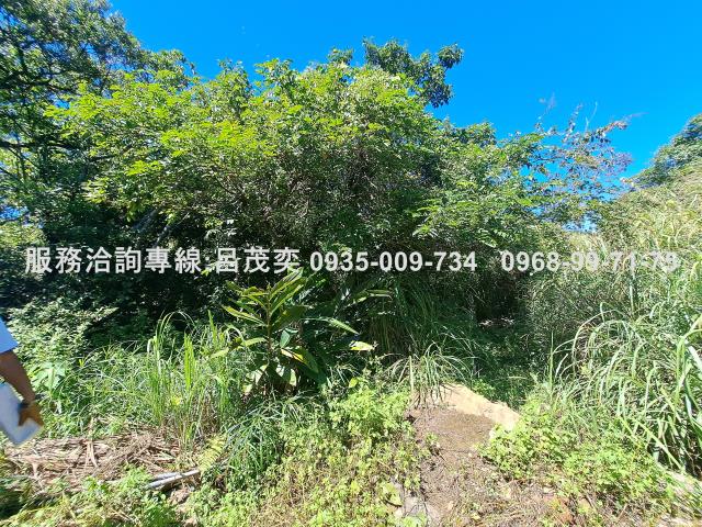 新北石門農地_休閒地-8