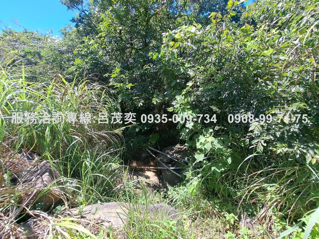 新北石門農地_休閒地-9