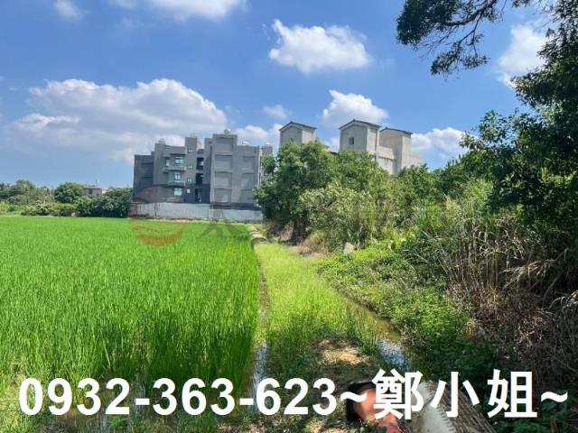 楊梅農地-6