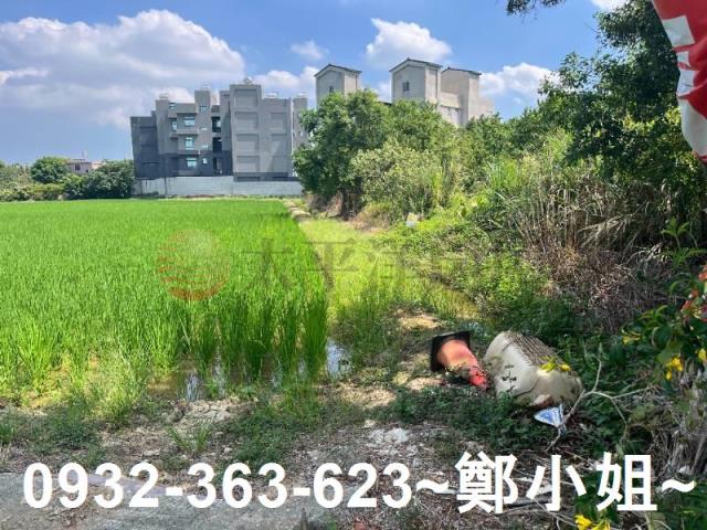 楊梅農地-8