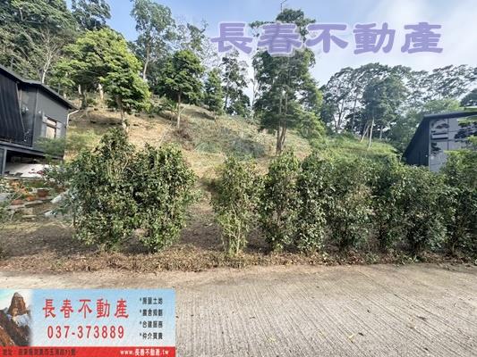公館農地_山坡地_休閒地-2