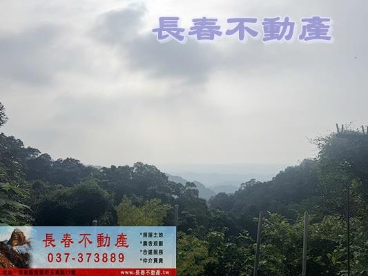 公館農地_山坡地_休閒地-4