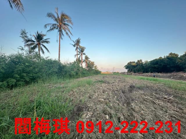 新市農地-0