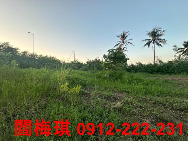新市農地-1