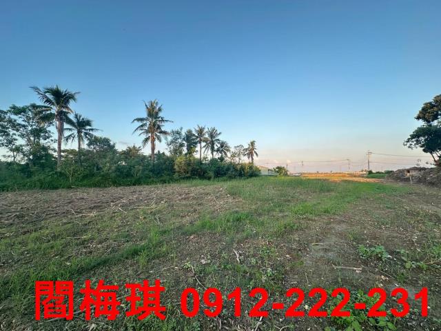 新市農地-2