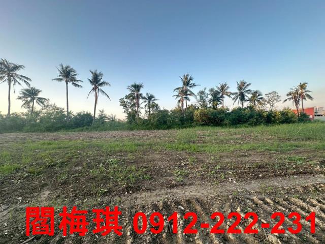 新市農地-3