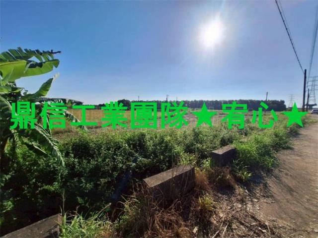 台南善化農地-0