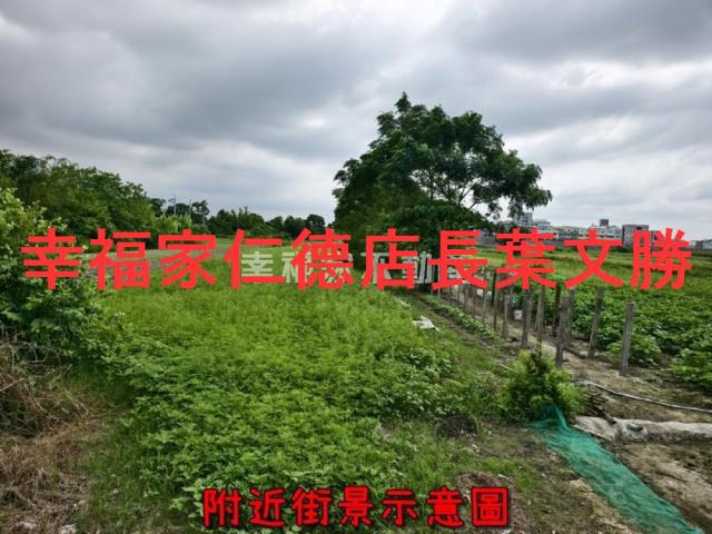 善化農地-14