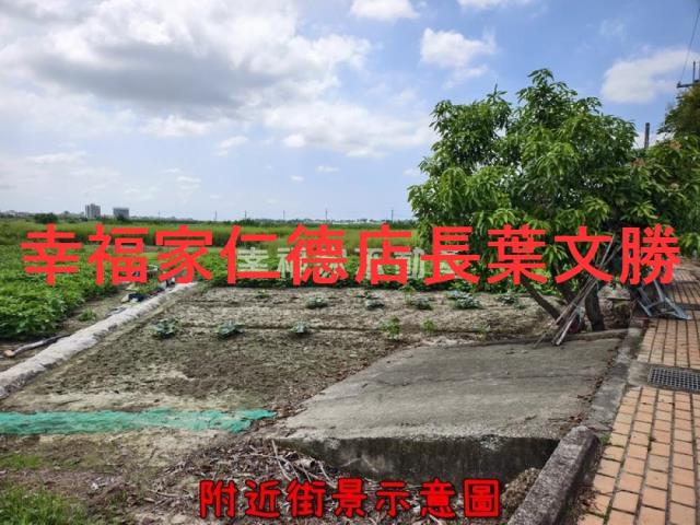 善化農地-5