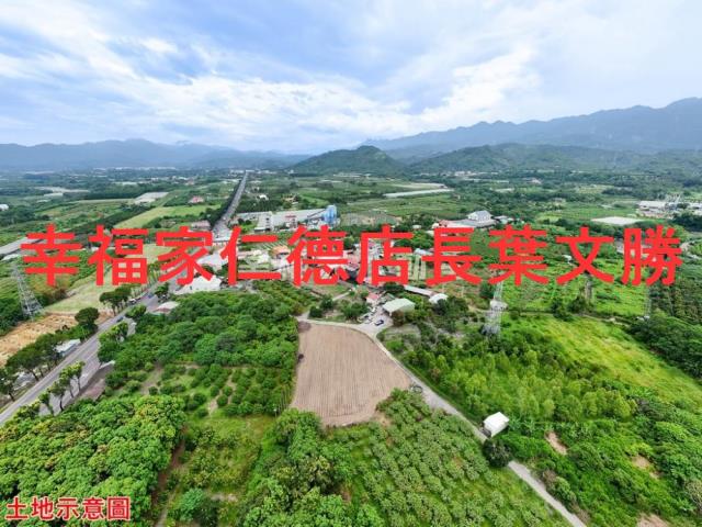 玉井農地-1