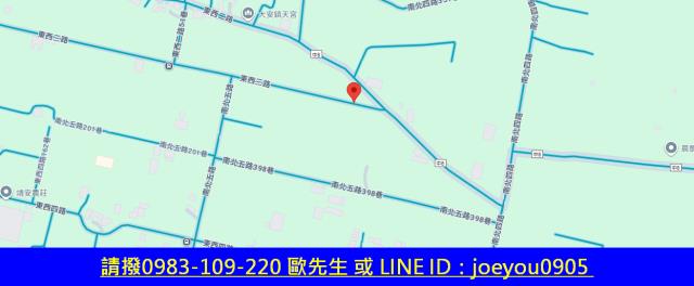 大安區農地法拍-8