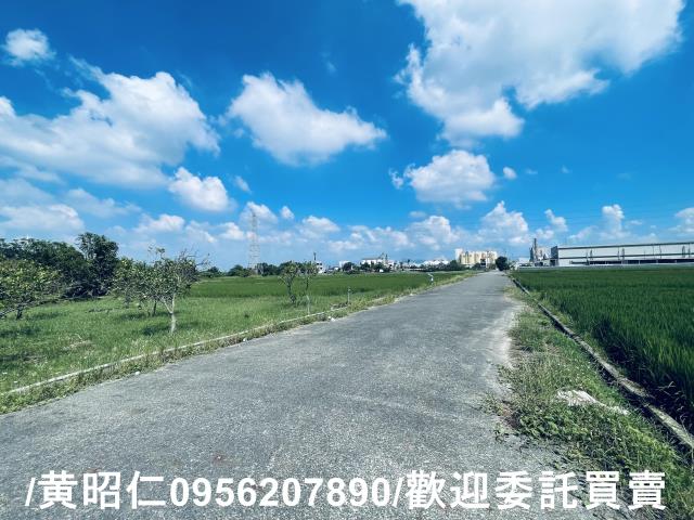官田農地-3