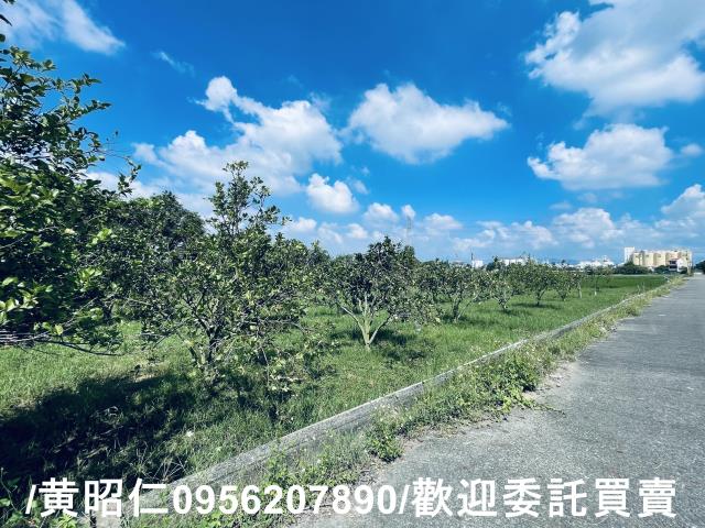 官田農地-7