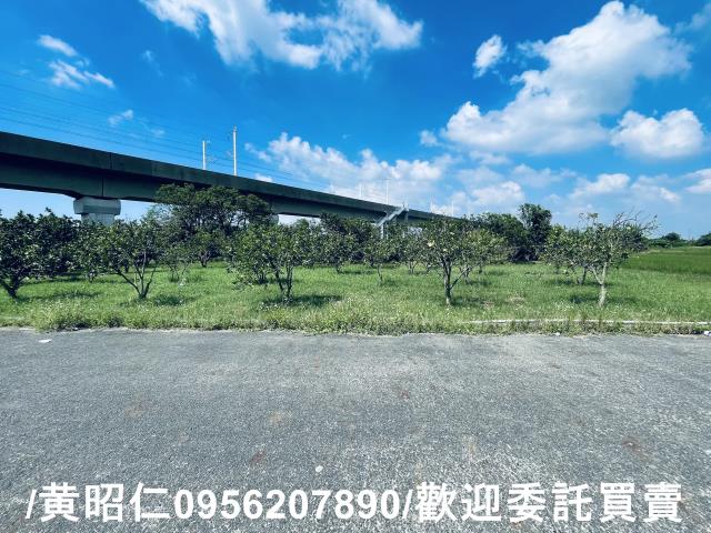 官田農地-8