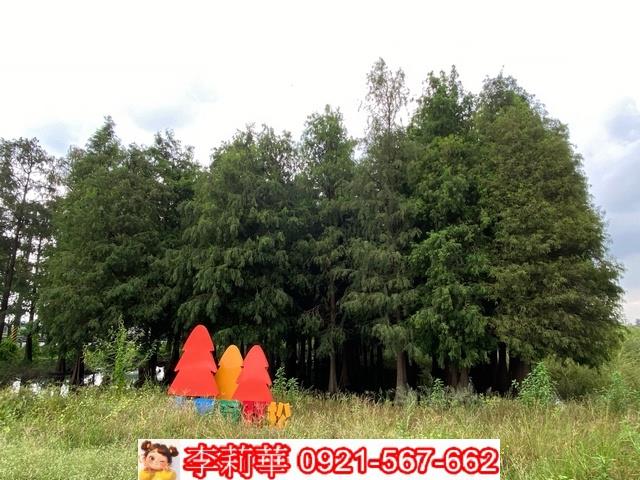 台南農地-3