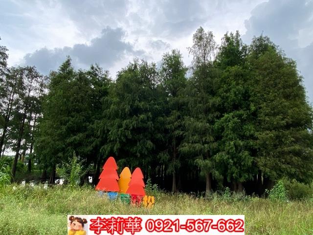 台南農地-4