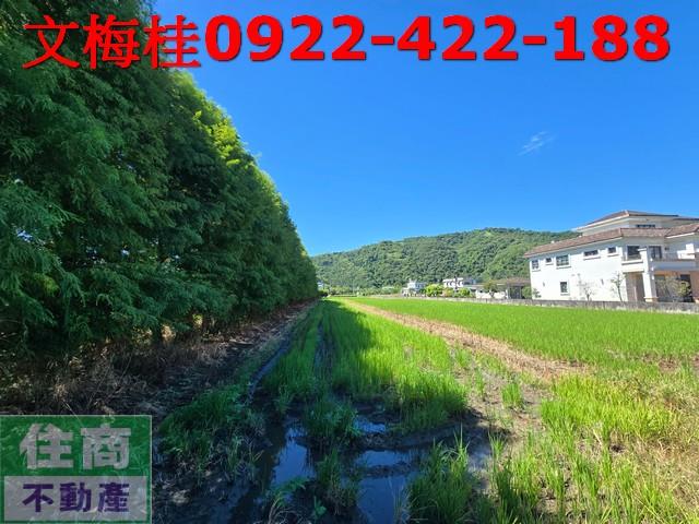 宜蘭農地-0