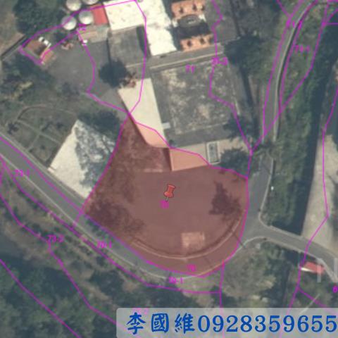 嘉義中埔法拍建地-3