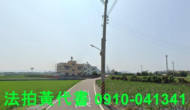 大安區農地法拍-8