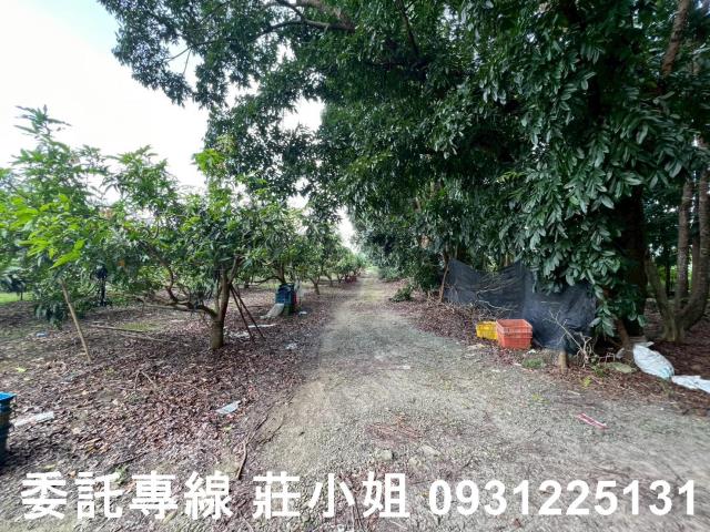 台南農地-10