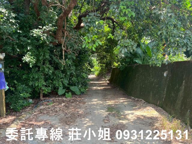 台南農地-11
