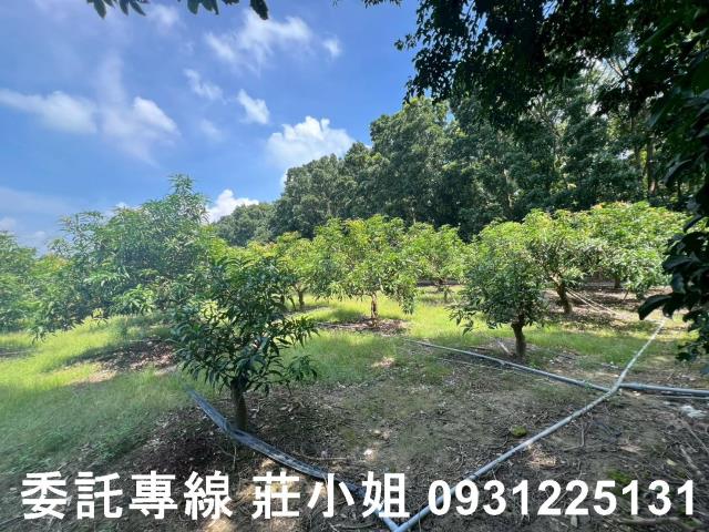 台南農地-12