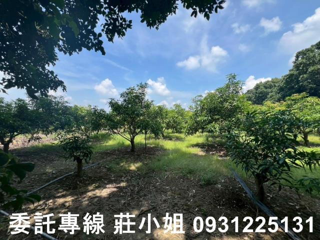 台南農地-1