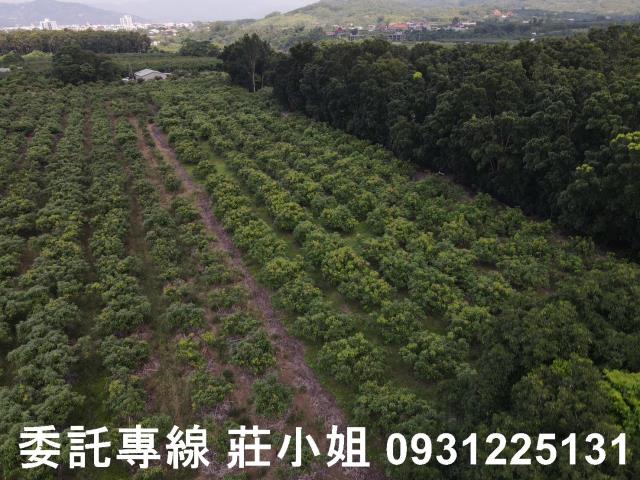 台南農地-5