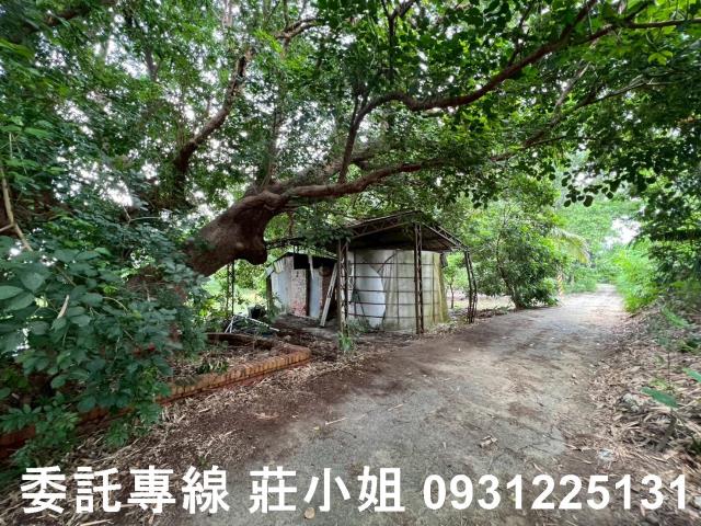 台南農地-6