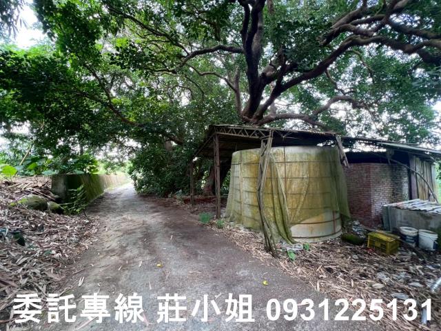 台南農地-7