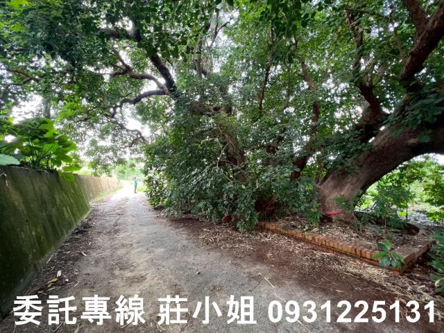 台南農地-8