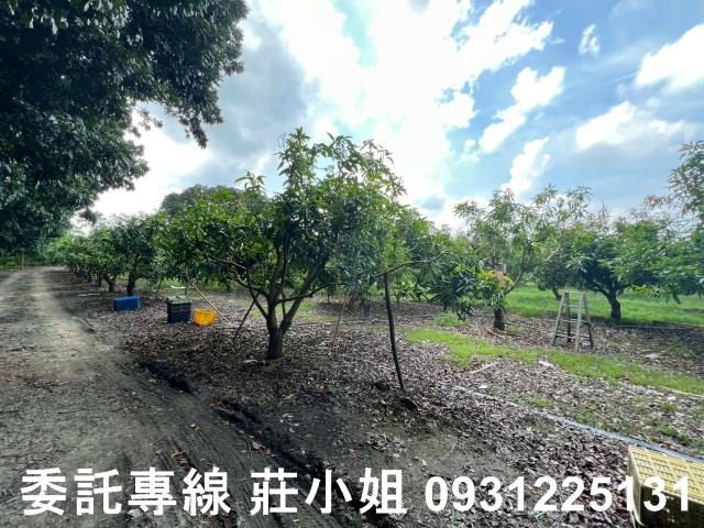台南農地-9