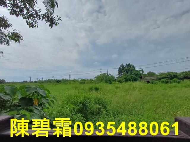 歸仁農地-10